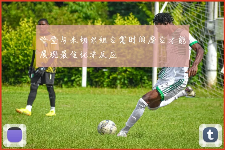 哈登与米切尔组合需时间磨合才能展现最佳化学反应