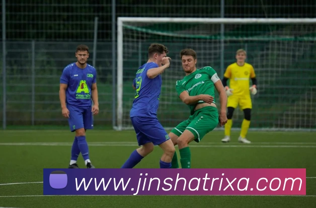 多媒体互动体验